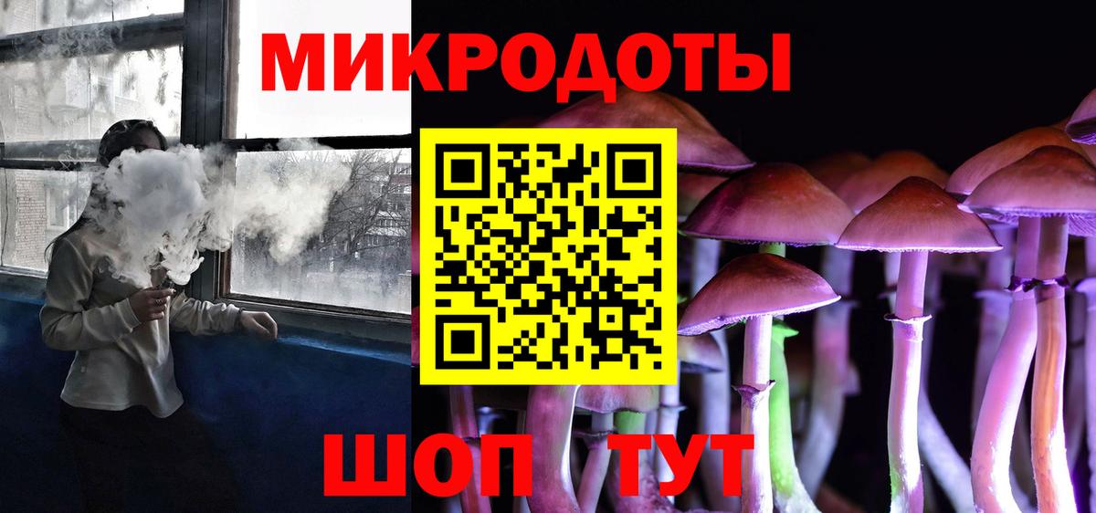Псилоцибиновые грибы мицелий Знаменск