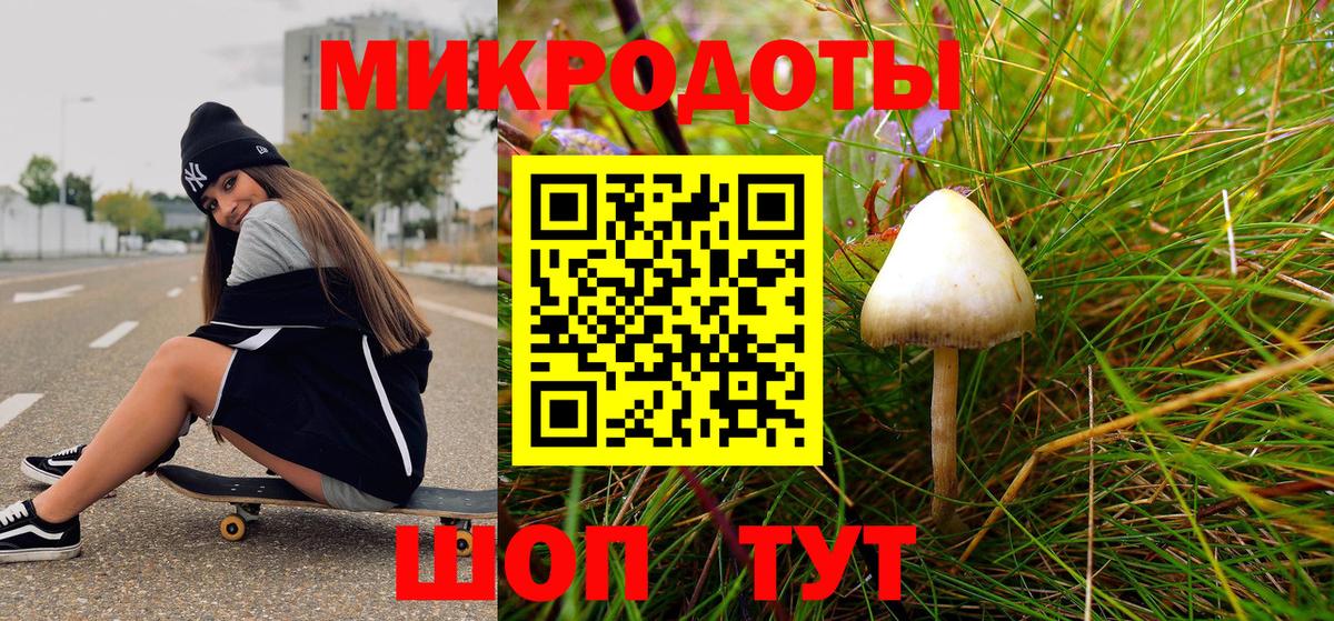 Псилоцибиновые грибы Magic Shrooms  Вход с VPN  Знаменск  Псилоцибиновые грибы GOLDEN TEACHER 